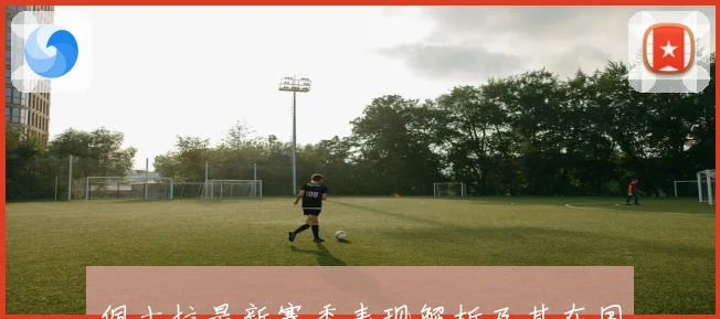 佩古拉最新赛季表现解析及其在国际网球舞台的影响与前景展望