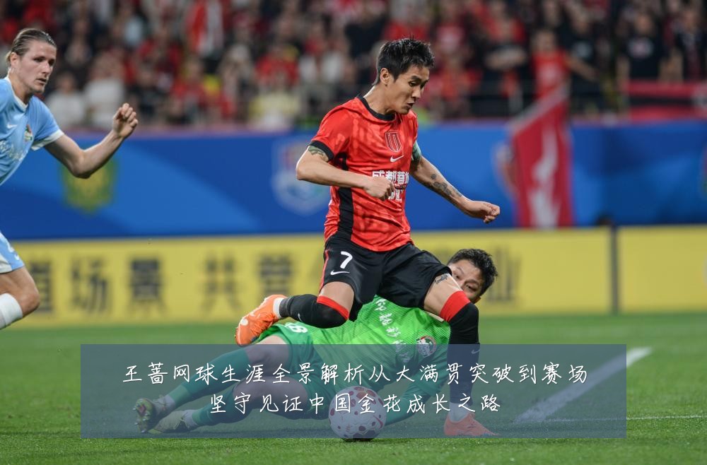 王蔷网球生涯全景解析从大满贯突破到赛场坚守见证中国金花成长之路