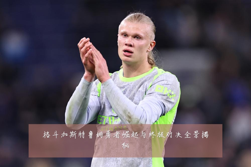 格斗加斯特鲁姆勇者崛起与终极对决全景揭秘